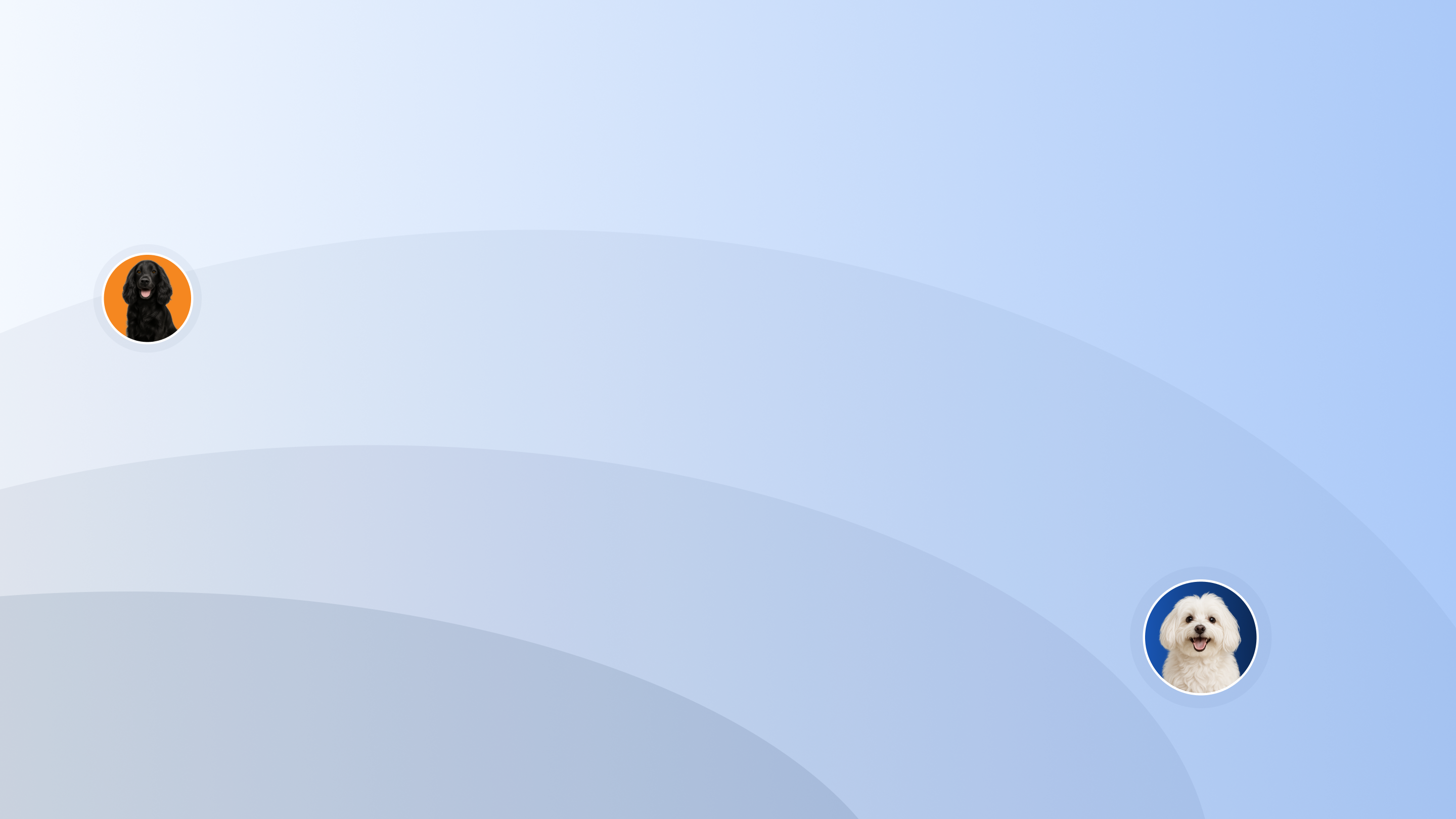 Dog Door Installation Orlando FL Professional Service Pet Door dog-door-installation-orlando-fl-professional-service-pet-door